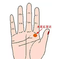 一双手看出你这辈子靠什么发家 图片9