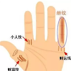 一双手看出你这辈子靠什么发家 图片13