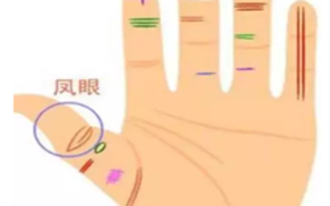 一双手看出你这辈子靠什么发家