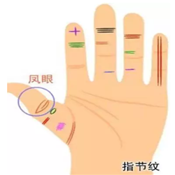 一双手看出你这辈子靠什么发家 图片15