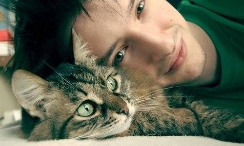 猫系的生肖男有哪些 图片2 猫系的生肖男有哪些 图片1