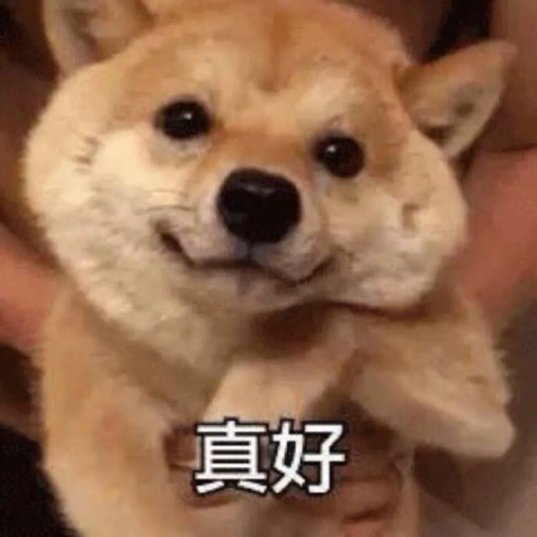 舔狗星座的一生，何其壮哉 图片3