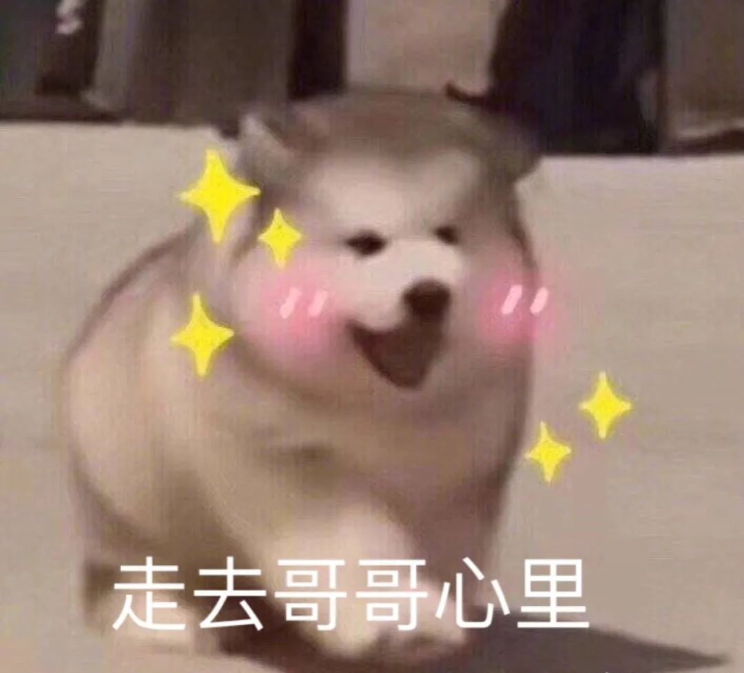 舔狗星座的一生，何其壮哉 图片5