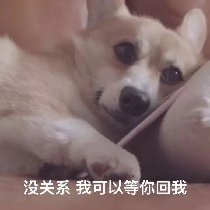 舔狗星座的一生，何其壮哉 图片13