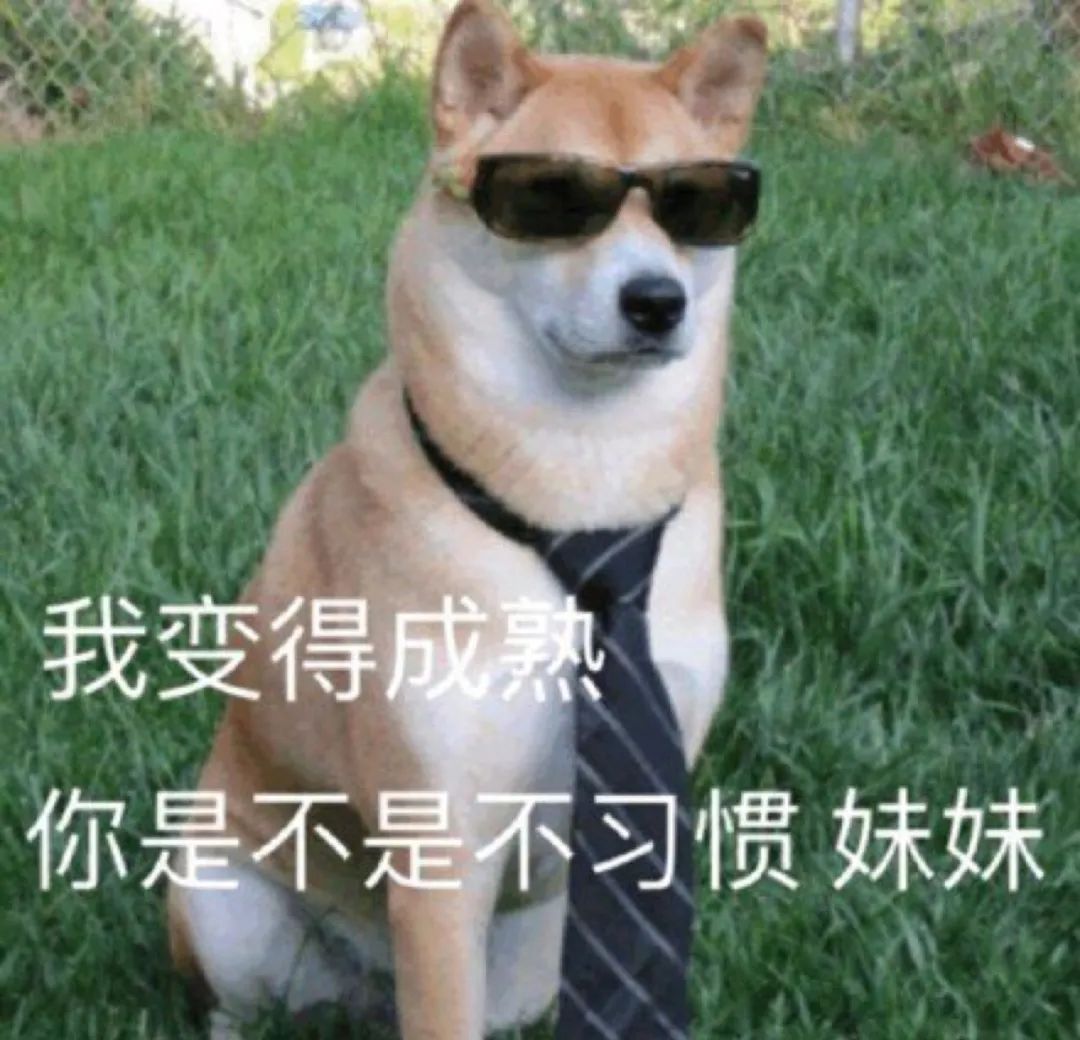 舔狗星座的一生，何其壮哉 图片17