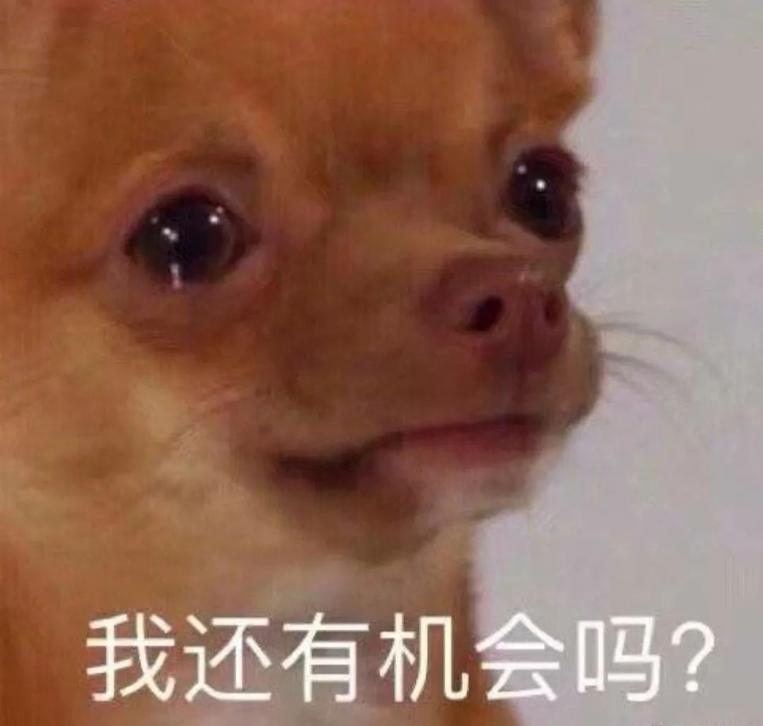 舔狗星座的一生，何其壮哉 图片19