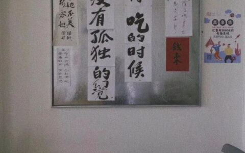 一周运程来袭，这个星座的运势竟然这么好