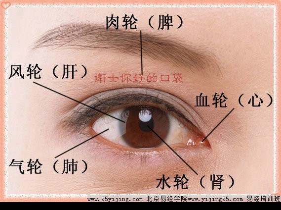 眼睛五轮看五脏知命运 图片2 眼睛五轮看五脏知命运 图片1