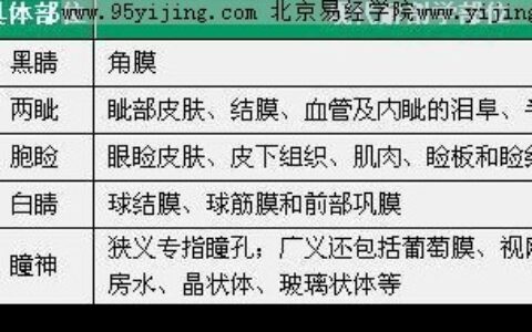 眼睛五轮看五脏知命运