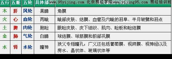 眼睛五轮看五脏知命运 图片4 眼睛五轮看五脏知命运 图片3