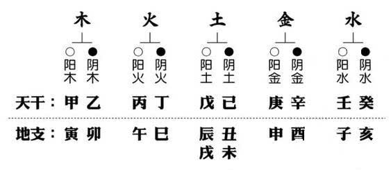 挑对象挑女婿挑朋友挑孩子,哪个挑错了都是一辈子 图片20 挑对象挑女婿挑朋友挑孩子,哪个挑错了都是一辈子 图片19
