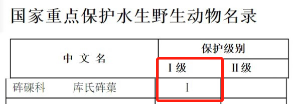 佛教七宝:金、银、琉璃、珊瑚、砗磲、赤珠、玛瑙 图片10 佛教七宝:金、银、琉璃、珊瑚、砗磲、赤珠、玛瑙 图片9