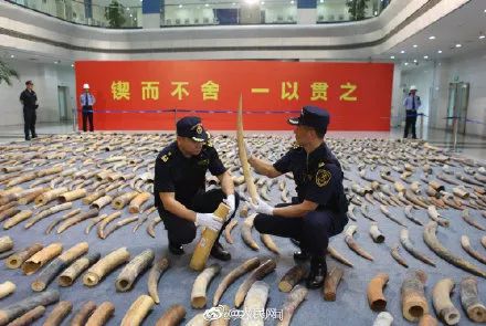 佛教七宝:金、银、琉璃、珊瑚、砗磲、赤珠、玛瑙 图片12 佛教七宝:金、银、琉璃、珊瑚、砗磲、赤珠、玛瑙 图片11