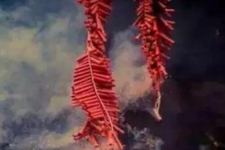 梦见鞭炮是什么意思 是代表自己会有好运吗 图片1