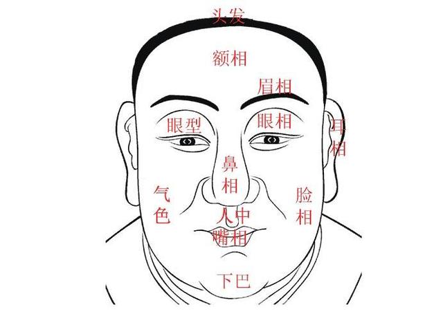 三大富得流油的额头面相 图片4 三大富得流油的额头面相 图片3