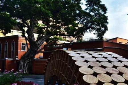 房屋前栽树有什么讲究为何风水不好 图片18 房屋前栽树有什么讲究为何风水不好 图片17
