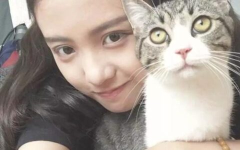 你的星座属性站是猫还是狗