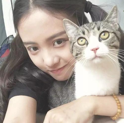你的星座属性站是猫还是狗 图片1