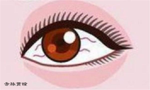 什么面相的男人会家暴 图片8 什么面相的男人会家暴 图片7