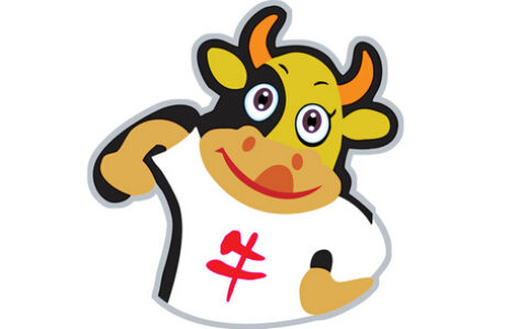 哪些生肖男最适合打理家务