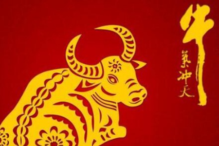 1949年属什么生肖 属牛的人运程如何 图片15