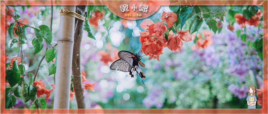 出生在春季会对我们有哪些影响？ 图片1