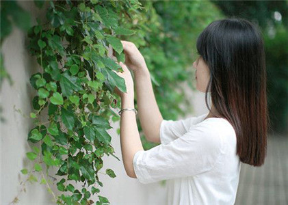 不爱谈理想只爱谈钱的三大生肖 图片3
