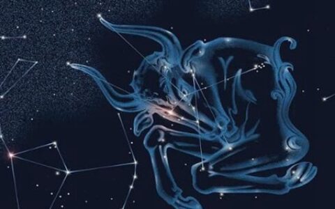 4月21日是什么星座 金牛座命运性格运势如何