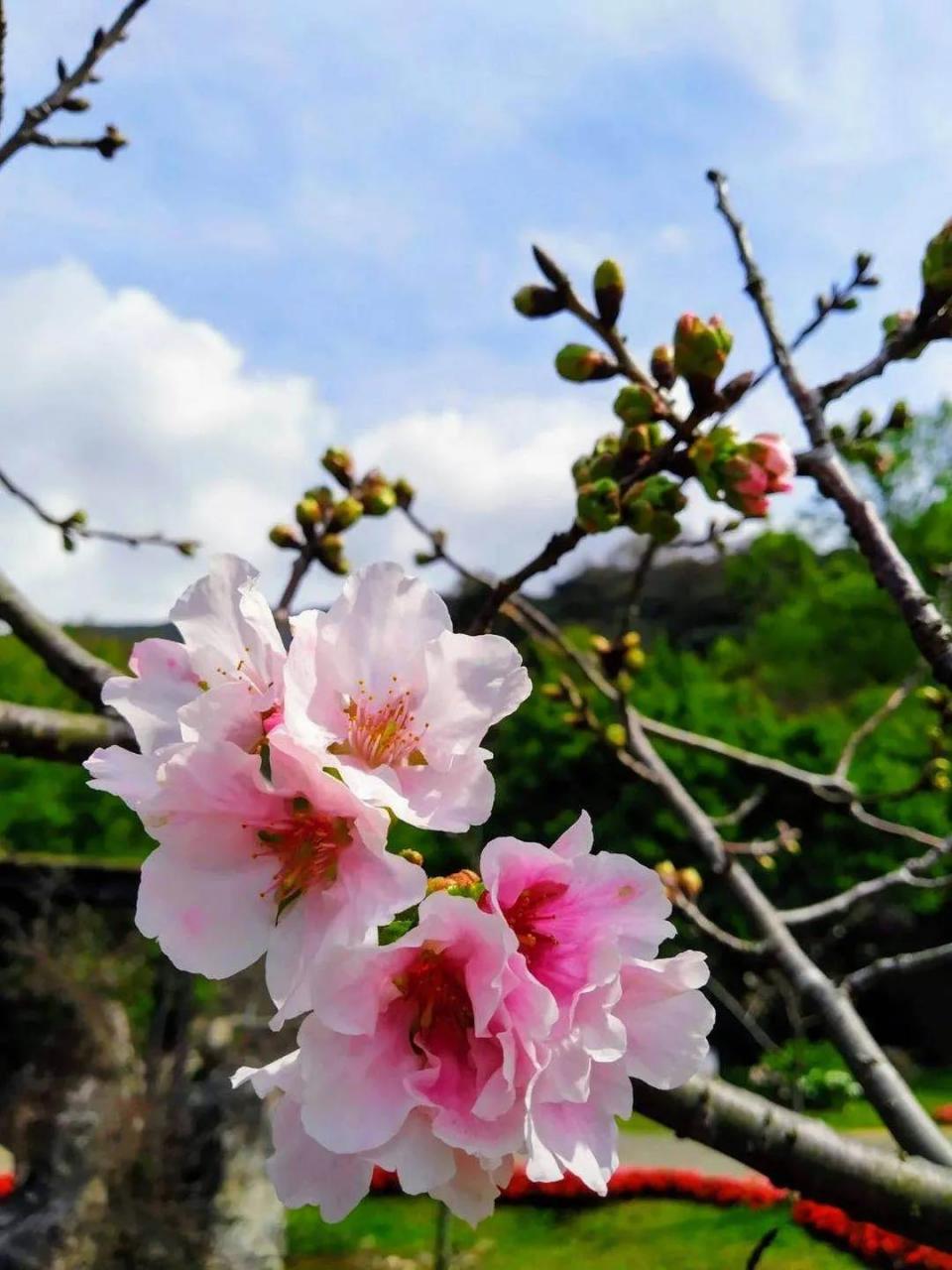 塔罗占卜：未来三个月，你的爱情会有怎样的变化 图片1