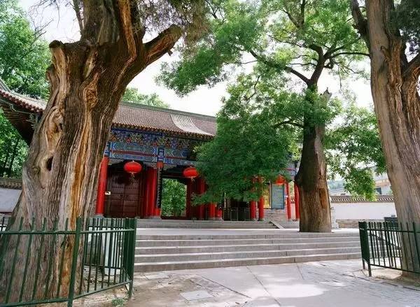 你知道为什么有钱人会越来越有钱吗 图片4 你知道为什么有钱人会越来越有钱吗 图片3
