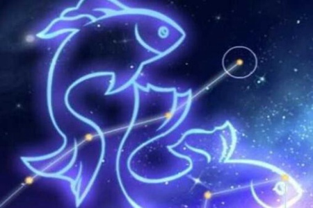 3月14日是什么星座 双鱼座特别的敏感脑洞大开 图片4 3月14日是什么星座 双鱼座特别的敏感脑洞大开 图片3