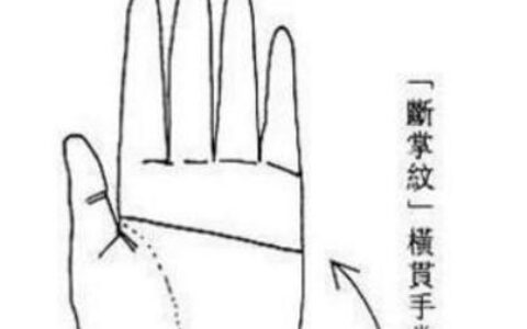 男断掌有才，女断掌克夫？
