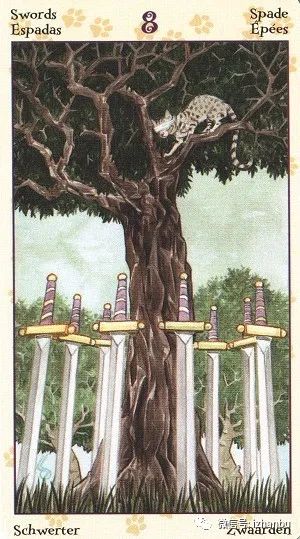塔罗牌占卜：一分钟看出，你容易被骗吗？ 图片7