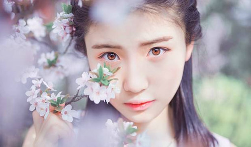 12生肖中谁面相最好 图片1