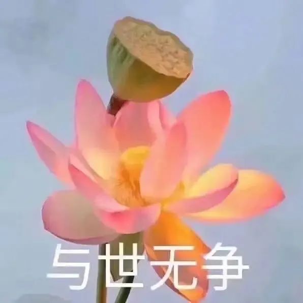 水逆期间百毒不侵的锦鲤星座排行榜 图片5