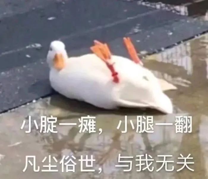 水逆期间百毒不侵的锦鲤星座排行榜 图片7