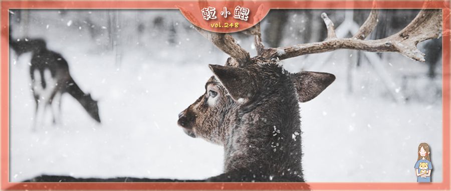 出生在「冬季」会对我们的命运有哪些影响？ 图片1
