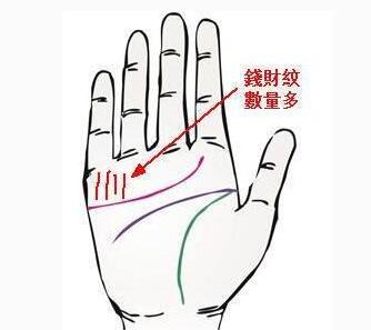 准！五种预示着好财运的男人手相 图片7