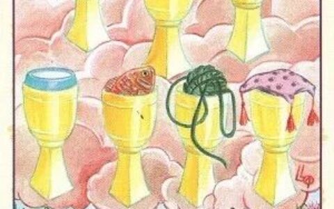 选牌，获悉2020年你会被几个人喜欢