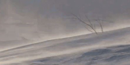 出生在「冬季」会对我们的命运有哪些影响？ 图片13