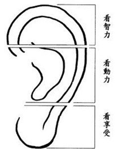 最能花钱，最能败家的五种面相 图片7