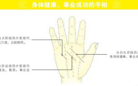 长寿的手相到底长啥样