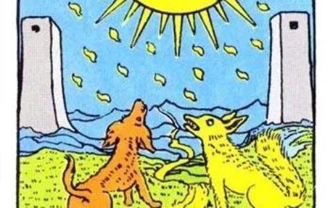 塔罗 | 2020年你的年度运势关键词是什么？