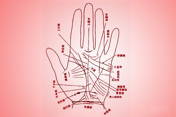 手相掌纹大全 图片1