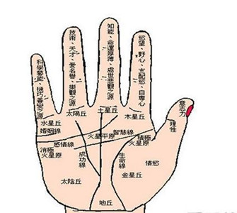 迟早会发财的手相，你是吗 图片3