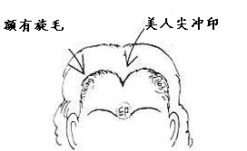 面相之额头看你一生命运如何 图片9