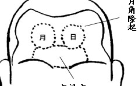 面相之额头看你一生命运如何