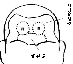 面相之额头看你一生命运如何 图片13