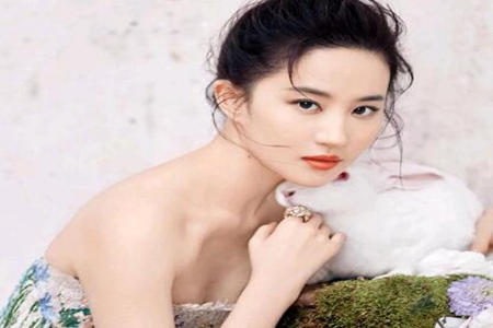 刘亦菲的八字命理分析 她能将事业运长久保持吗 图片18 刘亦菲的八字命理分析 她能将事业运长久保持吗 图片17