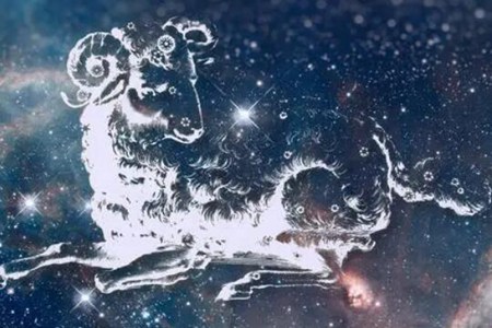 3月22日是什么星座 白羊座的大局观最善于观察 图片13